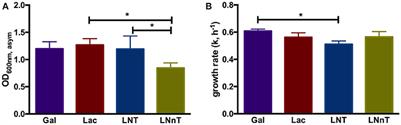 Inefficient Metabolism of the Human Milk Oligosaccharides Lacto-N-tetraose and Lacto-N-neotetraose Shifts Bifidobacterium longum subsp. infantis Physiology